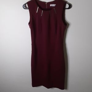 Burgundy Calvin Klein Dress